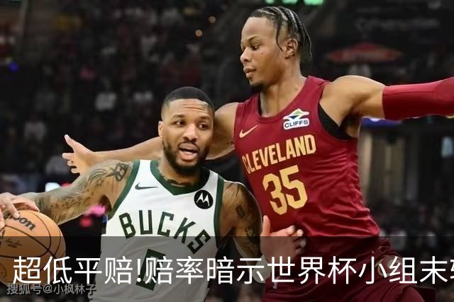 超低平赔!赔率暗示世界杯小组末轮一场默契球?
